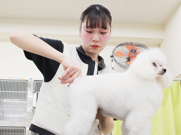 ☆生徒競技会☆午後の部～ＰＡＲＴ①～